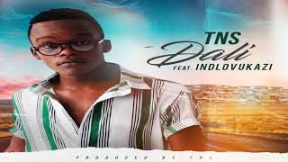 TNS ft iNdlovukazi  My Dali Prod by TNS [upl. by Diella235]