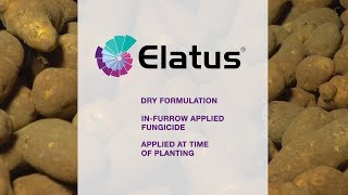 Protect Potatoes with Elatus Fungicide [upl. by Nylemaj]