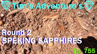 ROUND TWO of SPECKING SAPPHIRES 💎Tims Adventures💎⛏️  Ep755 [upl. by Leugar411]