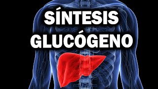 GLUCÓGENOGÉNESIS explicado paso a paso😎😎 Síntesis de Glucógeno [upl. by Oilla]