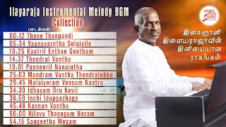 The Maestro  Ilayaraja Instrumental BGM Volume 02  Aram Music [upl. by Edina863]