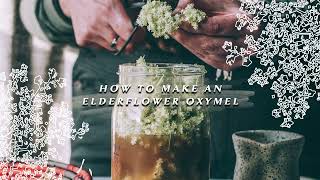 How to Make a Homemade Elderflower Oxymel [upl. by Neeroc]