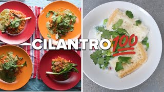 Everything You Can Do With Cilantro • Tasty Recipes [upl. by Ijneb]