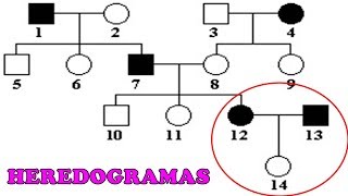 HEREDOGRAMAS  Exercícios e Dicas [upl. by Nailij]