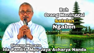 Perjalanan ROH Orang Meninggal Setelah Ngaben Dharma Wacana Ida Pandita Mpu Jaya Acharya Nanda [upl. by Nivi505]