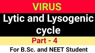 Lytic and Lysogenic cycle of Bacteriophage BSc 1st year virus topic lytic and lysogenic cy [upl. by Freeman982]