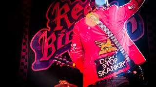 Reel Big Fish  “Skank For Christmas” Live Pro Filmed [upl. by Ardnwahsal526]