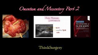 Omentum and mesentery part 2 [upl. by Eednac311]