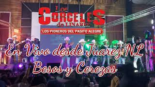 Los Corceles De Linares en Vivo Besos y Cerezas [upl. by Louis984]