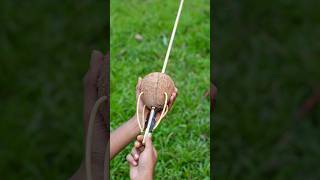 Creative Coconut Arrow Project Unique DIY with Simple Materials [upl. by Buzz337]