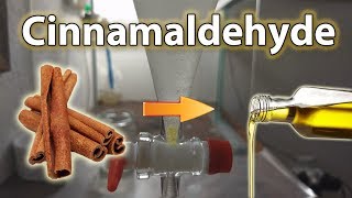 Cinnalmaldehyde Extraction  Cinnamon Oil from Bark with Steam Distillation [upl. by Justicz902]