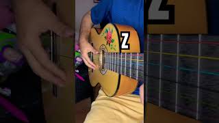 The Mask of Zorro guitar cover zorro [upl. by Mooney]