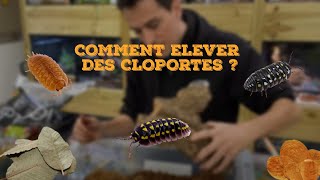 COMMENT ELEVER DES CLOPORTES  🤔 [upl. by Miehar]