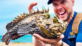 STUNG by a Stonefish Most Painful Sting on Earth [upl. by Tonya]