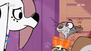 Obtaining The Supplies Clip  May Contain Nuts  101 Dalmatian Street [upl. by Lacy839]