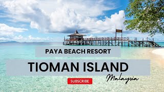 Escape to Tioman Paya Beach Resort and Island Hopping Fun Familytrailss [upl. by Carilla758]