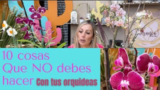 10 tips para principiantes en el cuidado de Orquideas [upl. by Fayina]