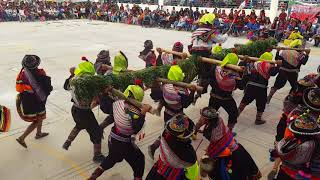 Danza Viga Huantuy  Festival de Danzas Mariscal Cáceres 2018 quot4to Fquot [upl. by Alimak163]