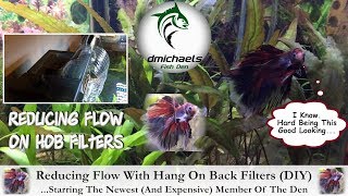 How To Reduce Flow With Hang On Back FiltersStarring The Newest Member Of The Den [upl. by Sirdi673]