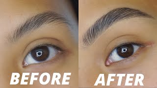 BUSHY SOAP BROW ROUTINE FOR SPARSE BROWS  2022 [upl. by Ordnas271]