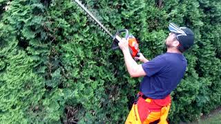 HUSQVARNA 122HD60 Hedge Trimmer cuts Thuja Smaragd [upl. by Asel]