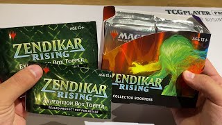 Zendikar Rising Collector Box Opening 1  Early Look HYPE IS RISING FOIL EXPEDITIONS ZNR [upl. by Decamp]