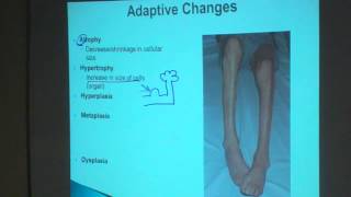 1 Topic 1 Adaptive changes [upl. by Remark630]