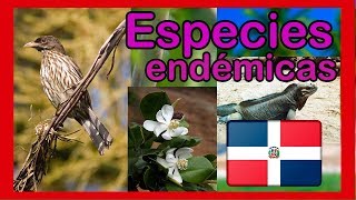 Especies endémicas de la República Dominicana  plantas y animales ENDÉMICOS 📕 ▶️ [upl. by Goldenberg216]