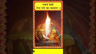 karj mukti ke upaye  स्वयं देखें तेज पत्ते का कमाल ।।ytreels ytshorts gurumaaacharya astrologyr [upl. by Supen769]