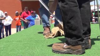 Rattlesnake Sacking Demonstration in Mangum OK 2013 [upl. by Silletram]