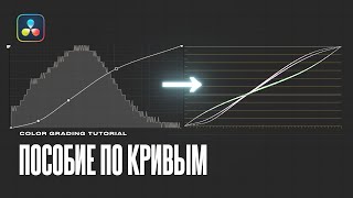 Всё про кривые в DaVinci Resolve 19  Custom Curves [upl. by Ylluz370]