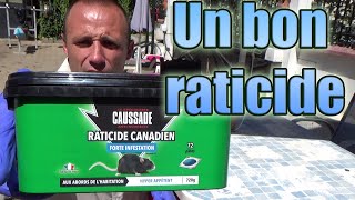 Un bon raticide pour les rats noirs amp souris pâte efficace lieu sec humide intérieur extérieur [upl. by Battiste]