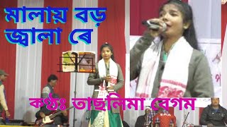 Malai Boro Jala reমালায় বড় জ্বালা রেTaslima Begum [upl. by Arakahs]