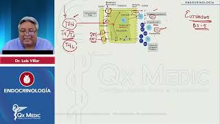 RM 2024 Endocrino 1 Hipotiroidismo Hipertiroidismo tiroiditis nódulo tiroideo Eutiroieo enfermo [upl. by Alrak691]