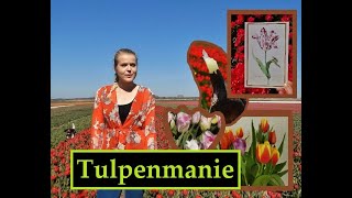 Wat was de quotTulpenmaniequot van 1634 [upl. by Yllet868]