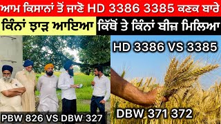 HD 3386  3385 Wheat Varieties … DBW 370  371  PBW 826 VS DBW 327 ਕਿਹੜੀ ਕਿਸਮ ਰਹੀ ਟੌਪ ਤੇ [upl. by Yenar]