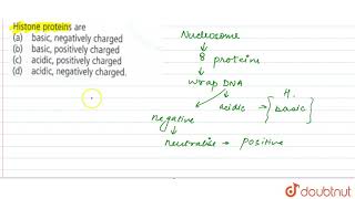 Histone proteins are [upl. by Assirem]