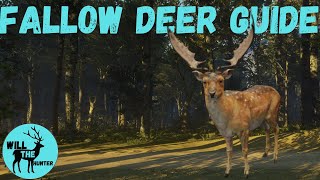 Te Awaroa Fallow Deer Zone Guide Best Locations Tips  More TheHunter Call Of The Wild [upl. by Aible]