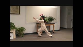 Grandmaster Aiping Cheng  Yang Style Tai Chi 108 Form [upl. by Ateekahs319]