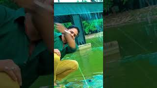 Kari kesiya ke dhagwa me dhani ho ❤️😍💞 bhojpuri pawansingh shortvideo [upl. by Lunneta]