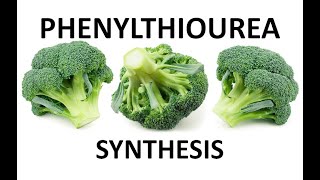 PHENYLTHIOUREA SYNTHESISncchem [upl. by Holloway]