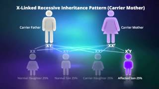 What is Xlinked Recessive Inheritance [upl. by Ecirtaemed]