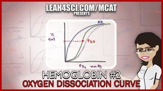 Oxyhemoglobin Dissociation Curve Right Left Shift Explain Hb vid 2 [upl. by Aserat744]