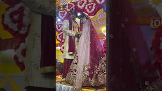 💞Aankho me aansuu aise saje hai💞celebration jaimala ceremony couple cutecouplesstatus cute [upl. by Ellehcyar639]