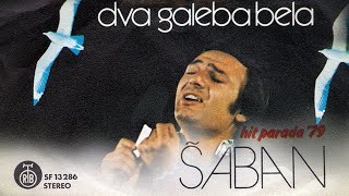 Saban Saulic  Stari kocijas  Audio 1979 [upl. by Tiedeman327]