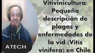 Vitivinicultura Pequeña descripción de plagas y enfermedades en la Vid Vitis vinífera en Chile [upl. by Asinla]