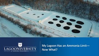 My Lagoon Has an Ammonia Limit—Now What [upl. by Encratia]