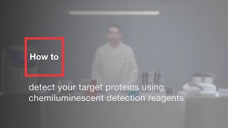 How to detect your target proteins using chemiluminescent detection reagents [upl. by Adnirb]