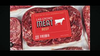 FLORIDA BANS LAB GROWN MEAT SUBSCRIBE NOW TO REBELCALL2024 nationsconspire wwerheamorgan [upl. by Norraf]