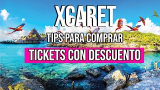 XCARET Plus  Todo incluido  TICKETS CON DESCUENTO y TIPS DE AHORRO [upl. by Philipson]